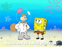 season 7 episode 20 GIF by SpongeBob SquarePants