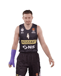 Kkpartizan Sticker by sportmts