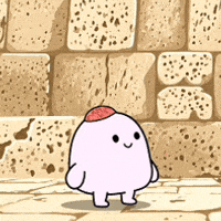 Western Wall Israel GIF by Bereishis Foundation
