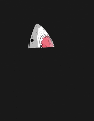 _amandinhaj shark tutuba inharangel GIF
