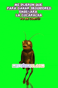 Musica Amigos GIF by Murcianys LLC