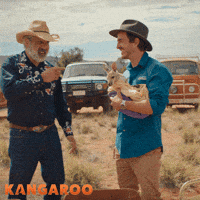 Deborah Mailman Kangaroo GIF by STUDIOCANAL