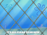 season 6 gullible pants GIF by SpongeBob SquarePants