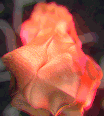 c4d GIF by Martin Onassis