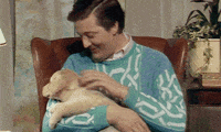 erection GIF