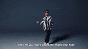 GIF by Giphy QA