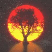 Loop Glitch GIF by dualvoidanima