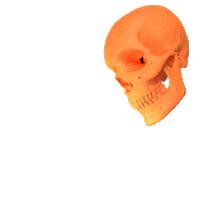 Elsevier back to school medical school med school medical student Sticker