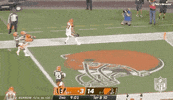 Regular Season Football GIF by NFL