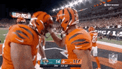 Football Sport GIF by NFL