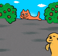 cat fun GIF