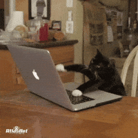 Komik GIF by ATLAS