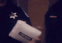 kate mckinnon dyke and fats GIF by Saturday Night Live