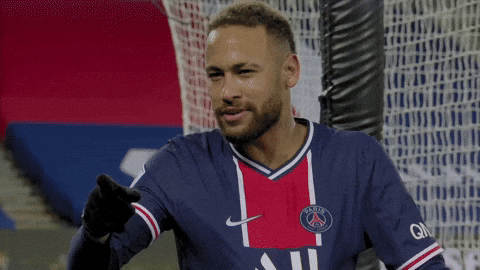 Paris Saint Germain Football GIF by Ligue 1