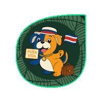 Costa Rica Logo Sticker by Alterra Home Loans