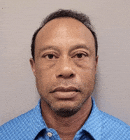 Tiger Woods Stare GIF
