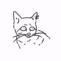 Bored Tik Tok GIF by butpoorlydrawn