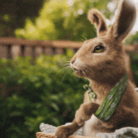 Ciao No GIF by Migros