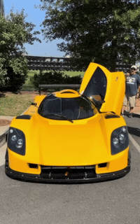 Slc GIF