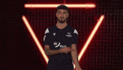 Karlsruher Sc Vbl GIF by Bundesliga