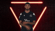 Karlsruher Sc Ice GIF by Bundesliga