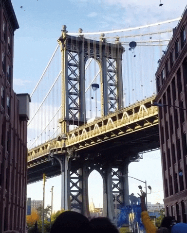 GIF by Dumbo, Brooklyn