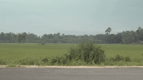 jesus running GIF