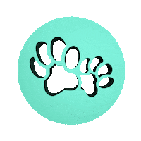 Dog App Sticker by Animalytics
