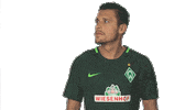 serious werder bremen Sticker by Bundesliga