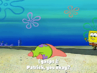 season 4 GIF by SpongeBob SquarePants