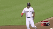 mlb sports baseball mlb home run GIF