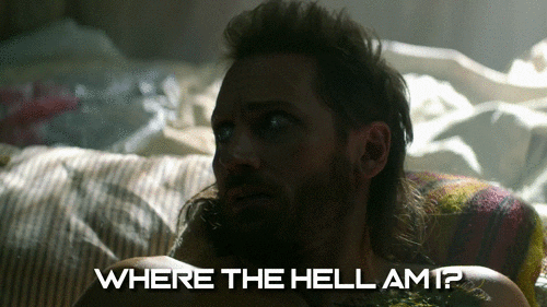 confused wolf GIF by HULU