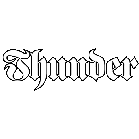 ThunderTrucks giphyupload skateboard thunder trucks Sticker