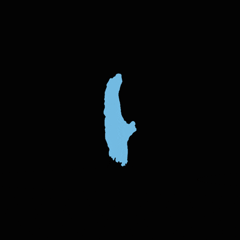 timlutz giphyupload GIF