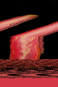 glitch GIF by Liaizon Wakest