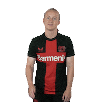 Whats Up Hello Sticker by Bayer 04 Leverkusen