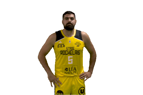 Basket Jerome Sticker by Stade Rochelais