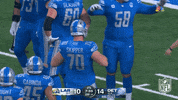 Detroit Lions Football GIF by NFL