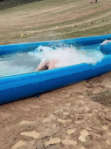 Sofacushion demi donnelly demidonnelly GIF