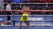 top rank knockout GIF by Top Rank Boxing