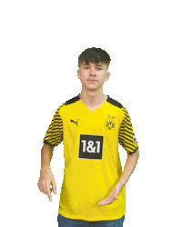 Bvb Sticker by Borussia Dortmund