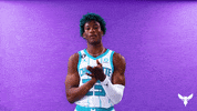 Basketball Nba GIF by Charlotte Hornets