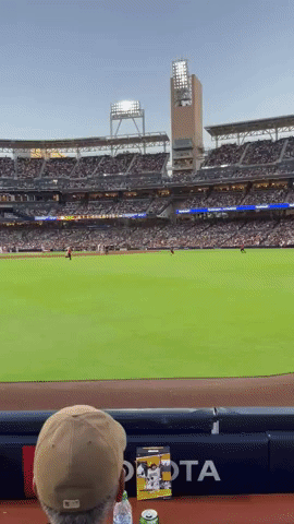 Fan Storms San Diego Baseball Field During Padres-Phillies Game