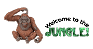 Animated Sticker