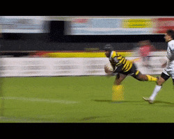 pro d2 essai GIF by Stade Montois Rugby