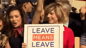 news parliament british politics brexit debate GIF