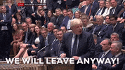 uk british brexit parliament boris johnson GIF