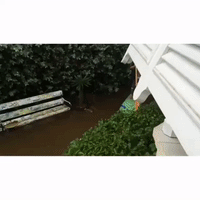 Paddleboarder Traverses Submerged Garden After Barbados Flooding