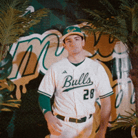 South Florida Baseball GIF by USF Athletics
