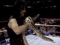 alice cooper wrestling GIF by WWE
